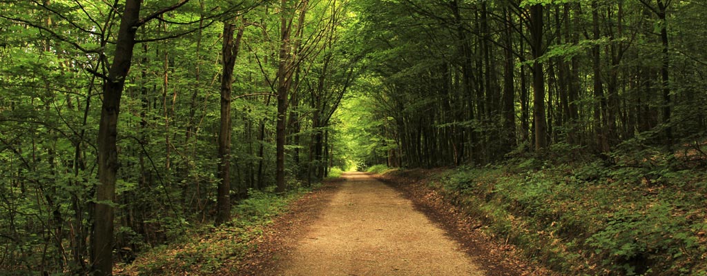 Landschaftsbild von Lucie Hošová